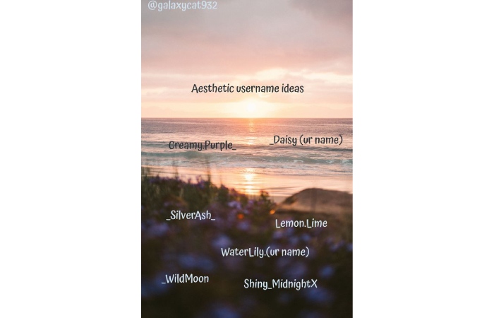 Short Aesthetic Usernames For Instagram For Girl