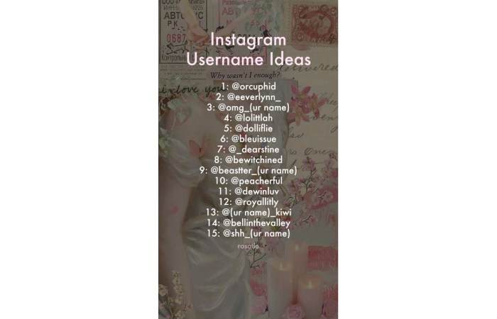 Short Aesthetic Usernames For Instagram For Girl Originality