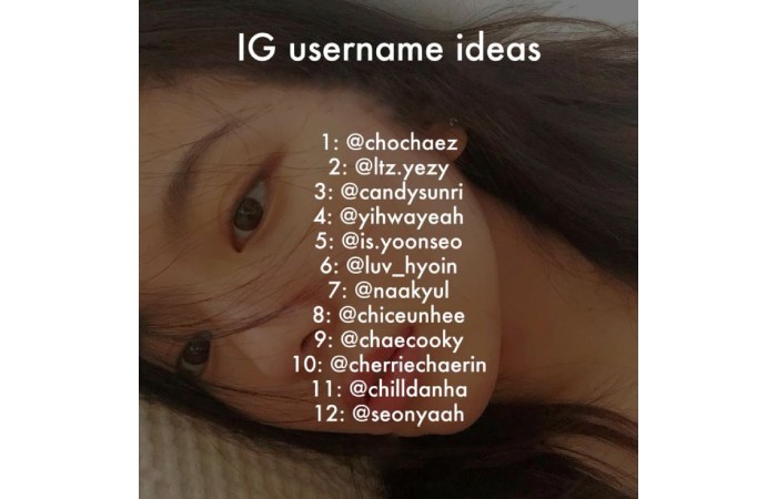 Short Aesthetic Usernames For Instagram For Girl 