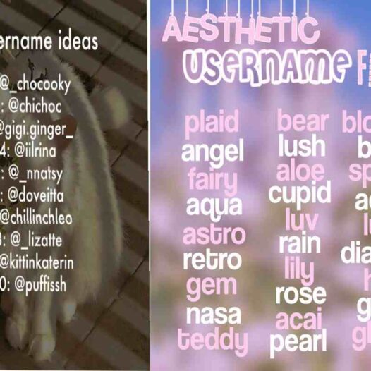 Short Aesthetic Usernames For Instagram For Girl